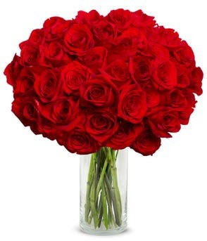 50 Long Stemmed Roses in a clear vase delivered the same day to Arizona for 124.99 perfect for Valentines day or Mothers Day