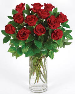 12 red Roses Arranged in a Vase-12 Beautifull Red Explorer Roses arranged in a vase-red Roses