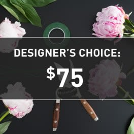 Designers Choice