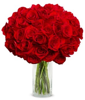 50 Long Stemmed Roses bouquet with premium red roses
