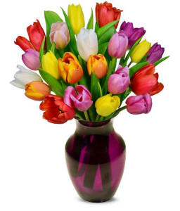 Rainbow tulip bouquet with 20 stems in bright mixed colors