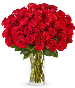 Luxurious bouquet of long-stem red roses arranged in a clear glass vase