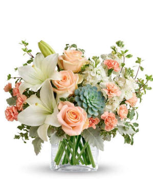 Floral arrangement featuring peach roses, white Asiatic lilies, peach mini carnations, white stock, pitta negra, dusty miller, and a green echeveria succulent in a glass cube vase.