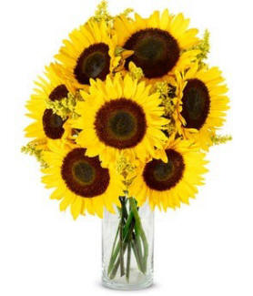 Deluxe Sunflower Bouquet $44.99