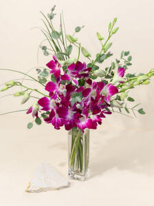 Dendrobium Orchids Mix - imported dendrobium orchids in a vase