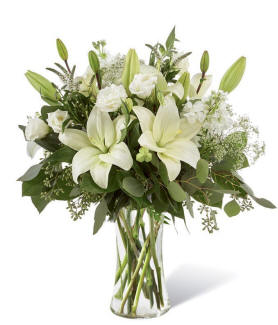 Enchanting Elegance Bouquet with white lilies, white lisianthus, white stock, Queen Anne's lace, white veronica, eucalyptus, and a tall clear cylinder vase