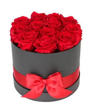 Luxury Preserved Red Roses $119.99