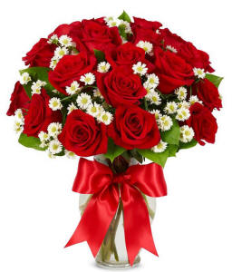 One dozen premium luxury red roses