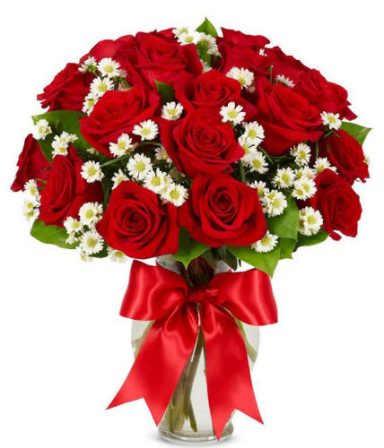 Luxury Red Roses 64.99 Delivered Today