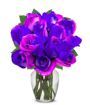 One Dozen Cosmic Roses $59.99