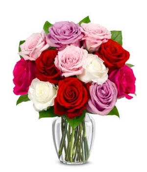 One dozen mixed roses in a vase