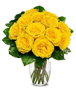 One Dozen Yellow Roses $49.99