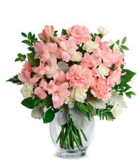 Pink Beauty Carnations $339.99