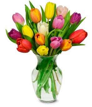 Rainbow Tulip Bouquet with 15 colorful tulips