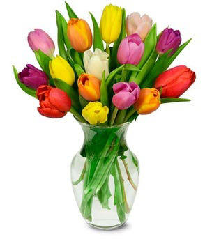 Rainbow Tulip Bouquet of Flowers $54.99