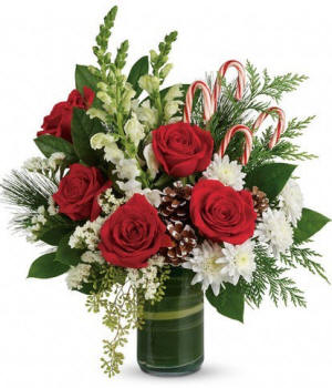 Red, Green Candy Cane Bouquet - festive red and green Christmas flowers