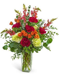 Sorrento Sweetheart tall red-toned flowers delivered in Gilbert