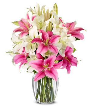 Pink and white lily bouquet designed to open and bloom over days, optional glass vase included