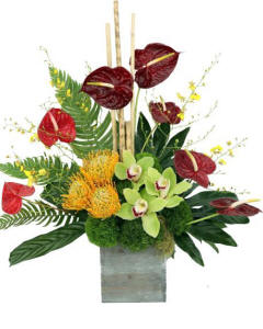 Exotica-Exotica is just that. Flowers from exotic, far away tropical lands comprise this arrangement in a wood rustic cube. Simple design. but very elegant.-tropical arrange,emt.