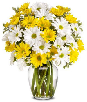 A clear vase filled with yellow and white daisies
