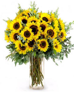 50 sunflowers-Send some serious sunshine with this stunning arrangement featuring 50 California Sunflowers!-sunflowers